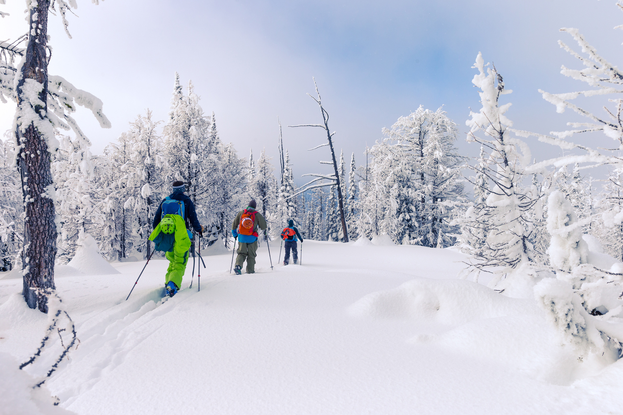 Ski touring